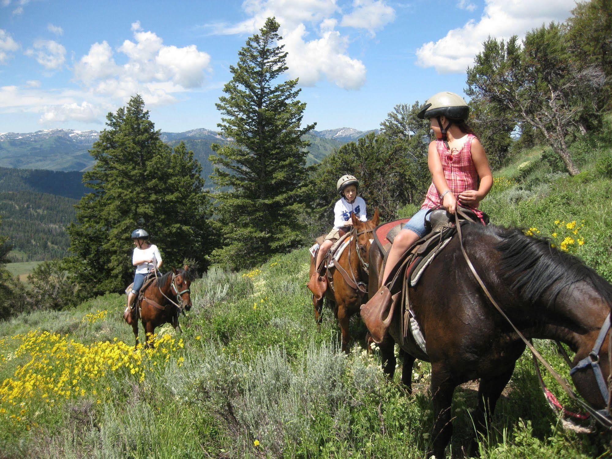 Beaver Creek Lodge Logan Ngoại thất bức ảnh