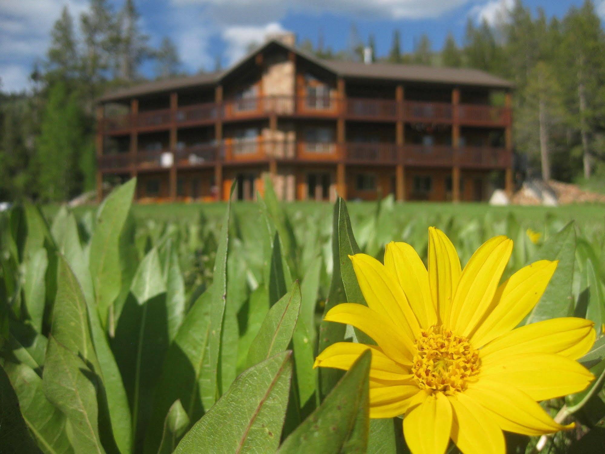 Beaver Creek Lodge Logan Ngoại thất bức ảnh